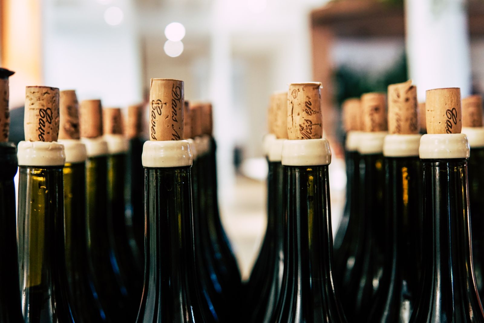 A tight row of dark wine bottles seen from just above the shoulders, each stoppered with a printed cork, in soft indoor light.